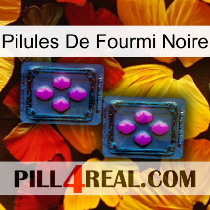 Black Ant Pills 03